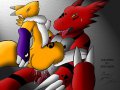 2_Yiffy Hentai Digimon - Renamon - hold on.jpg